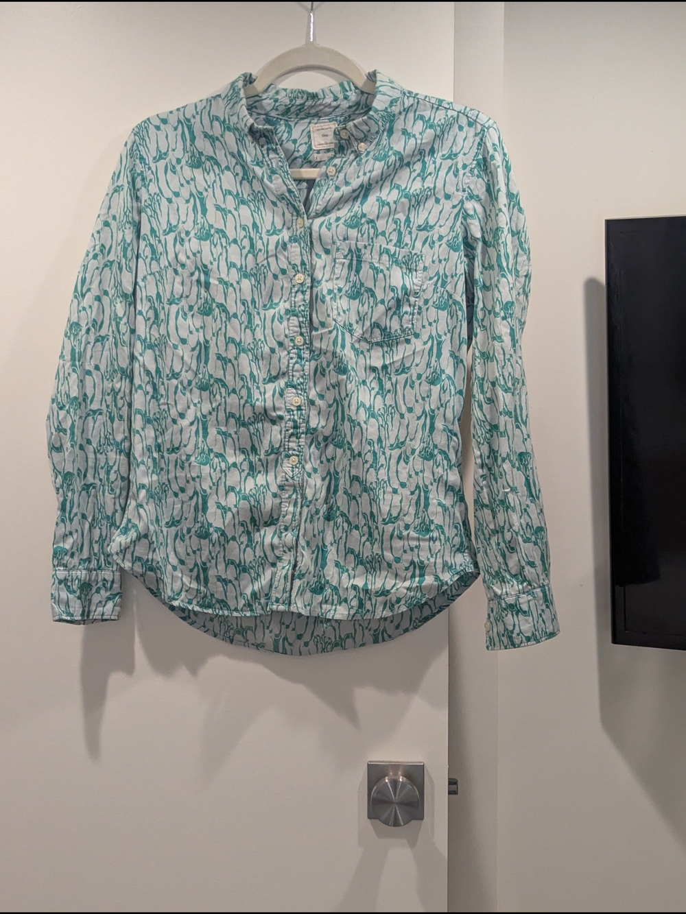 GAP Teal and White Printed Cotton Button-Down Shirt